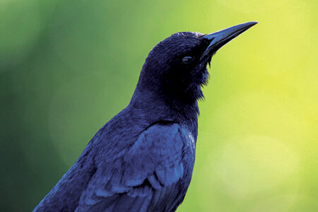 article image - Eary Warren’s Pic-042926